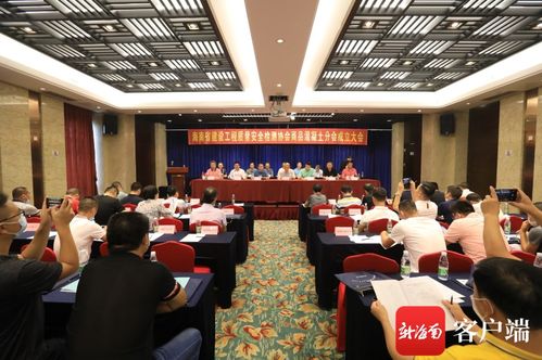 信息技術(shù)賦能，質(zhì)量安全護(hù)航——記海南省建設(shè)工程質(zhì)量安全檢測協(xié)會商品混凝土分會成立
